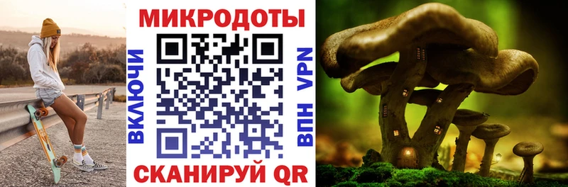 Псилоцибиновые грибы GOLDEN TEACHER  Лакинск 