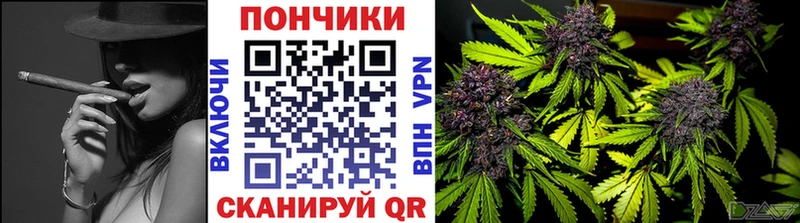 Бошки Шишки SATIVA & INDICA  площадка наркотические препараты  Лакинск 
